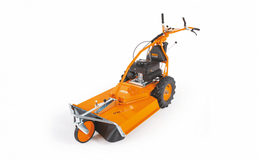 AS-Motor AS 65 2T ES